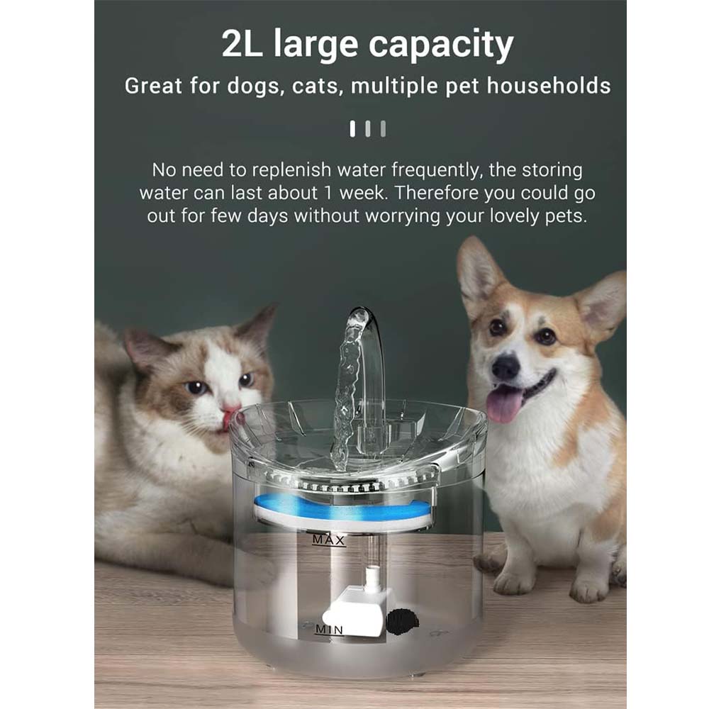 Pet Water Fountain
